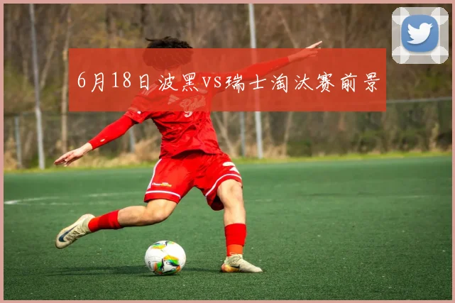 6月18日波黑vs瑞士淘汰赛前景