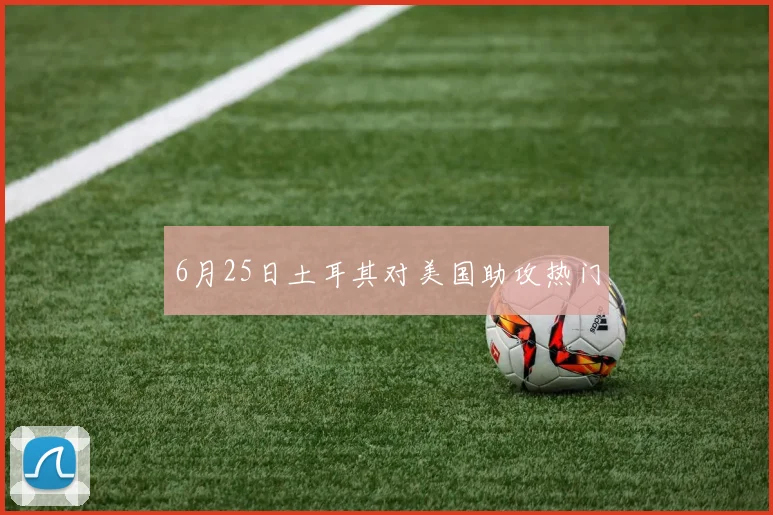 6月25日土耳其对美国助攻热门