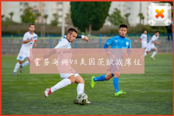 霍芬海姆vs美因茨欧战席位