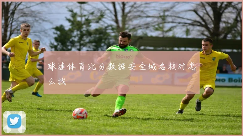球速体育比分数据安全域名核对怎么找