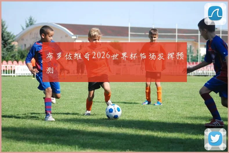 布罗佐维奇2026世界杯临场发挥预测